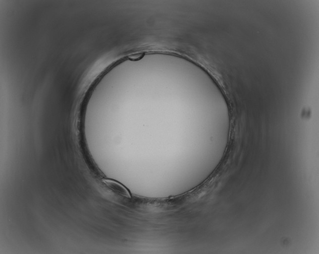 X0000094360103200711241946