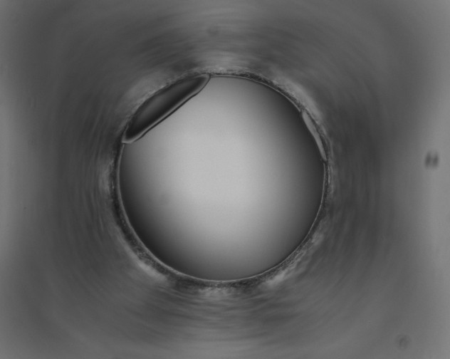 X0000094360105200711241946