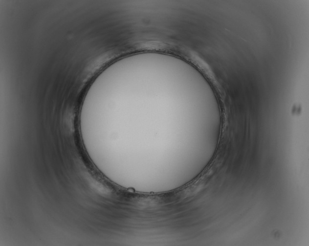 X0000094360106200711241946