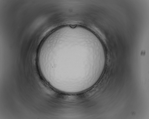 X0000094360107200711241946