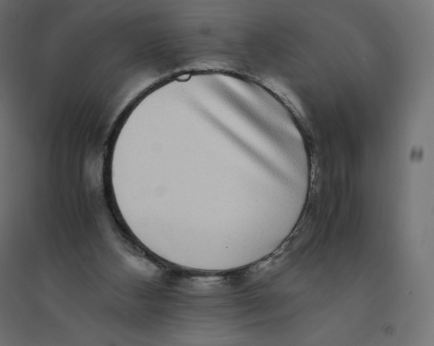 X0000094360108200711241946