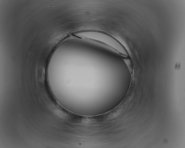X0000094360109200711241946