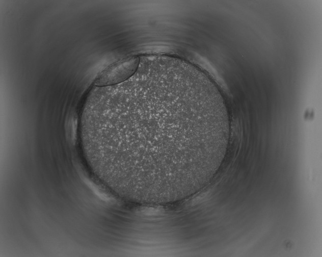 X0000094360110200711241946