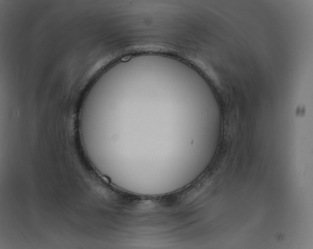 X0000094360111200711241946