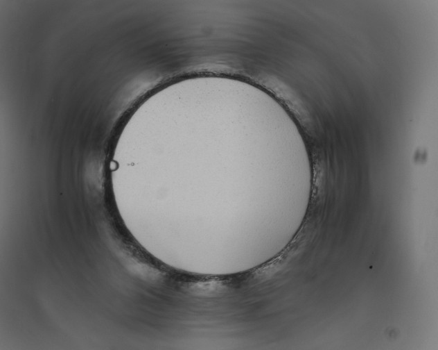 X0000094360112200711241946