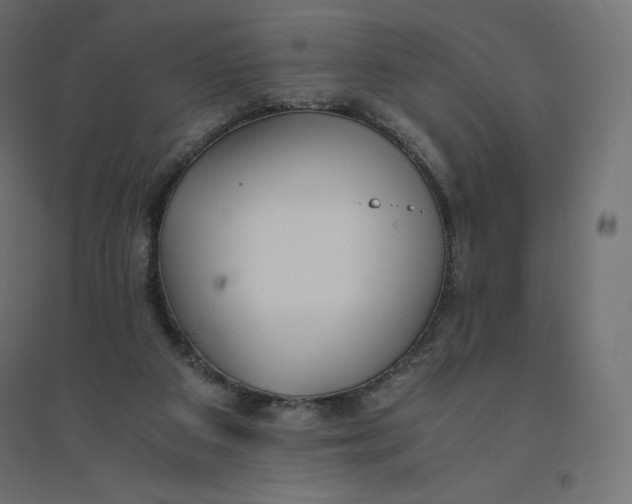 X0000094360113200711241946