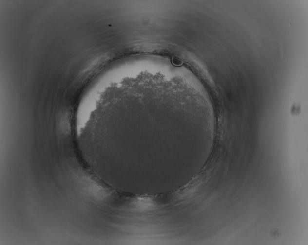 X0000094360114200711241946