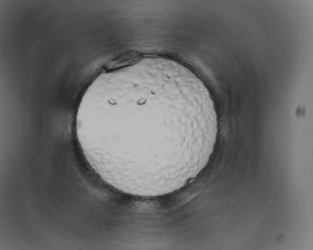 X0000094360115200711241946