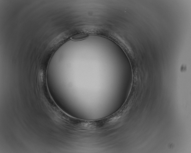 X0000094360117200711241946
