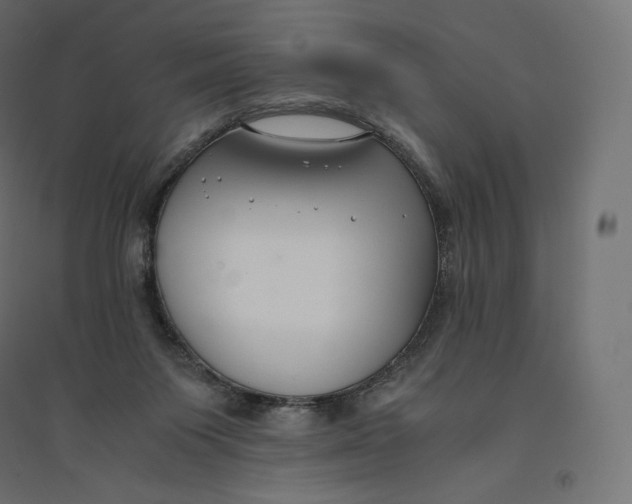 X0000094360119200711241946