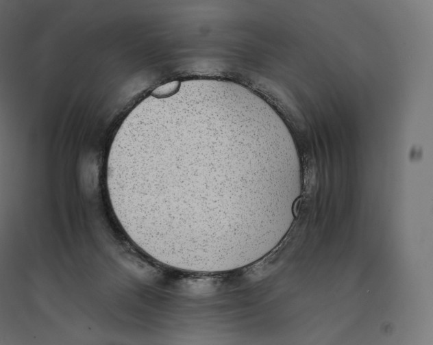 X0000094360120200711241946