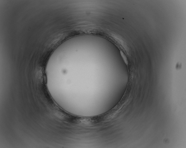 X0000094360121200711241946