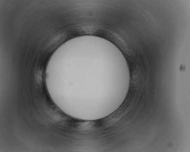 X0000094360122200711241946