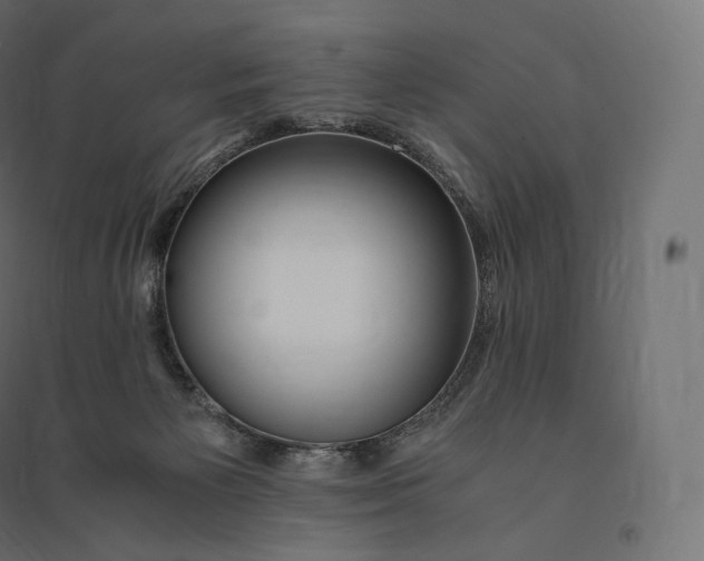 X0000094360125200711241946