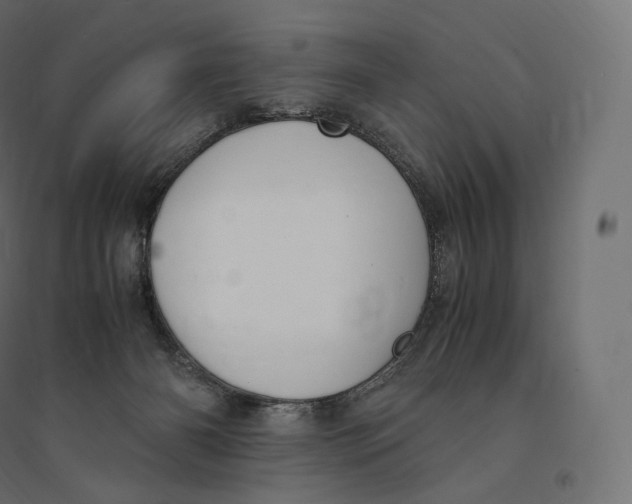 X0000094360126200711241946