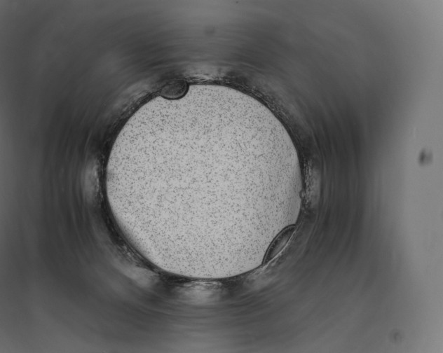 X0000094360128200711241946