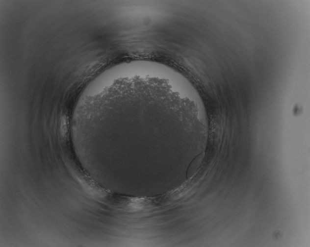 X0000094360130200711241945