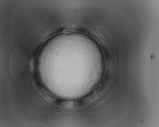 X0000094360131200711241945