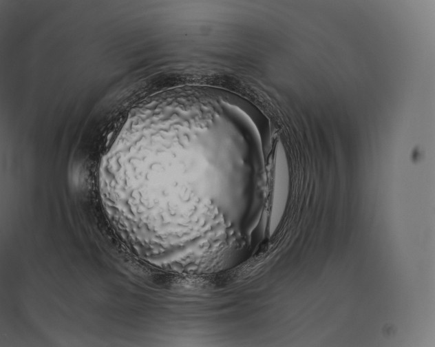 X0000094360137200711241945