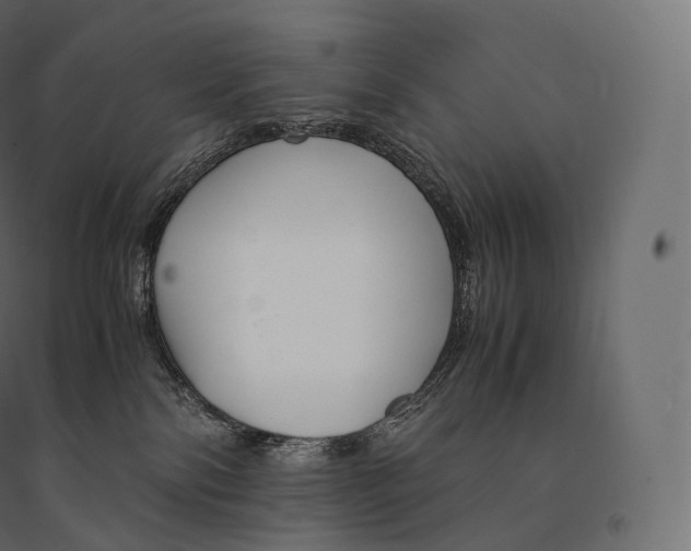 X0000094360138200711241945