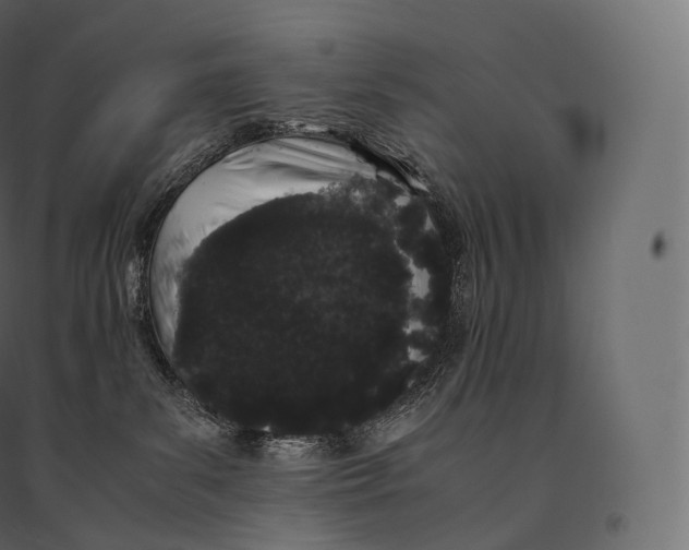 X0000094360139200711241945