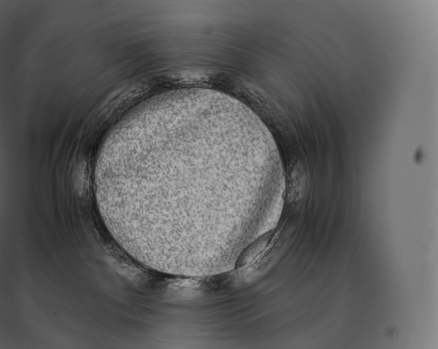 X0000094360140200711241945