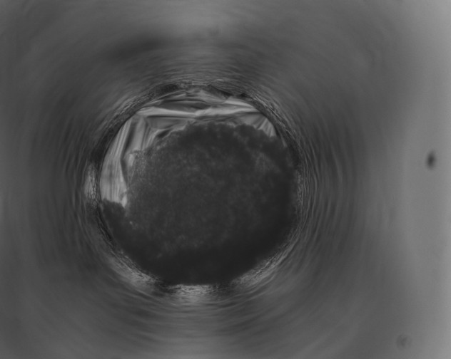 X0000094360143200711241945