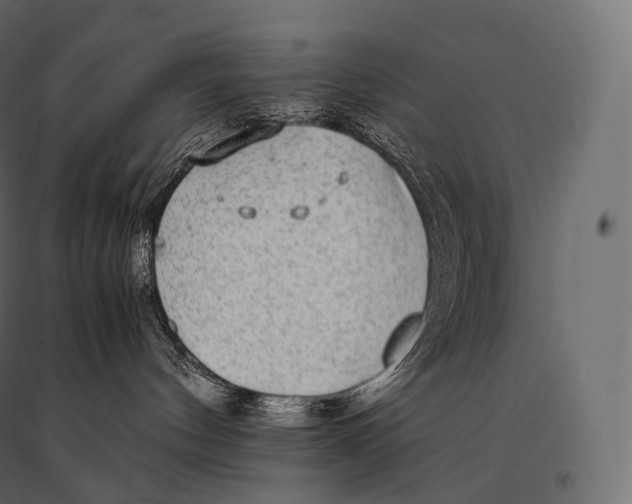 X0000094360144200711241945
