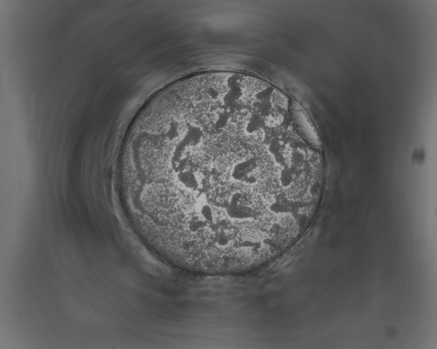 X0000094360145200711241944