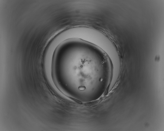 X0000094360146200711241944