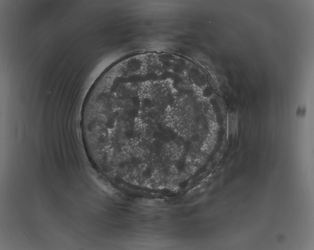 X0000094360147200711241944