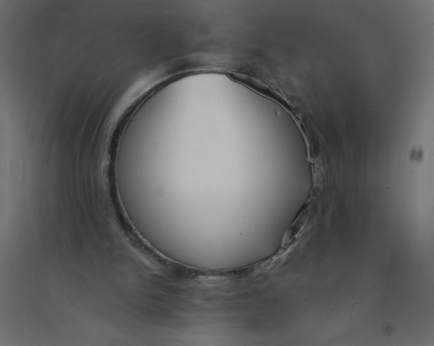 X0000094360150200711241945