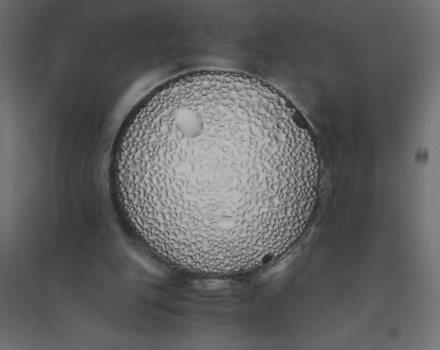 X0000094360151200711241945