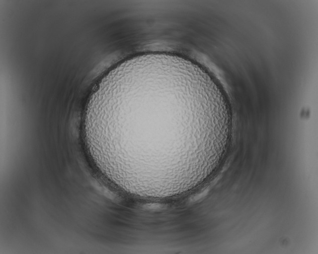 X0000094360153200711241945