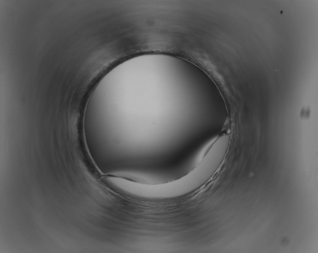 X0000094360154200711241945