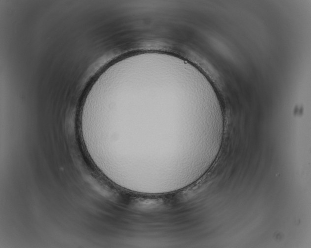 X0000094360155200711241945