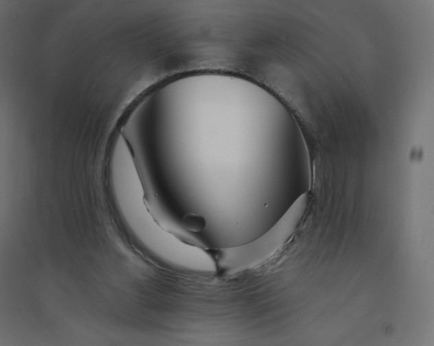 X0000094360156200711241945