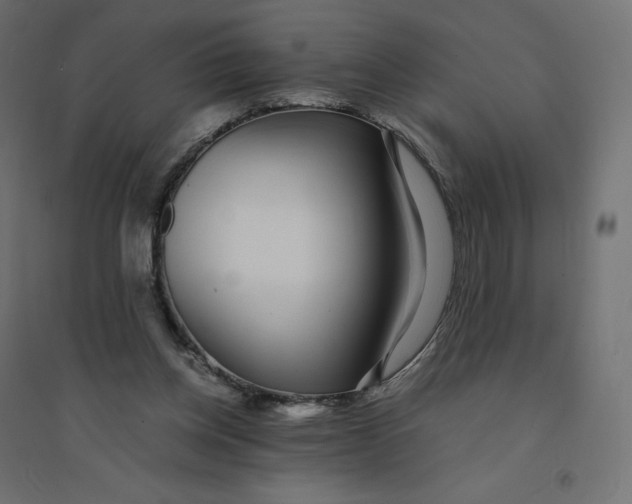 X0000094360158200711241945