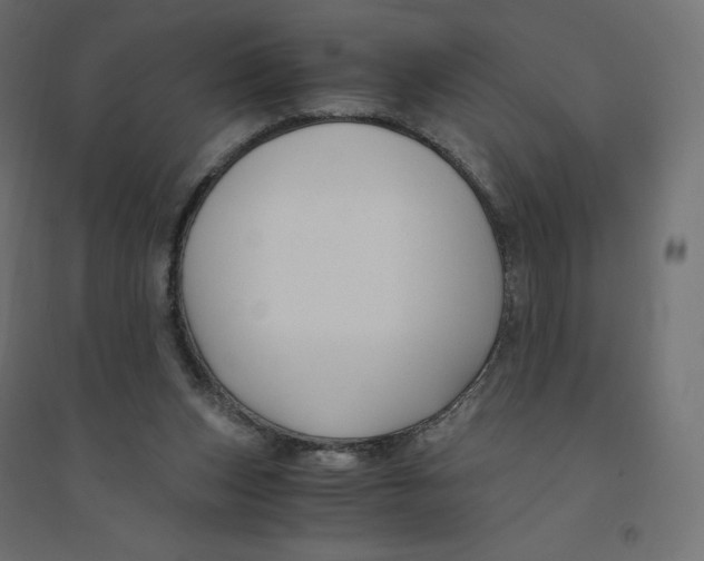 X0000094360159200711241945