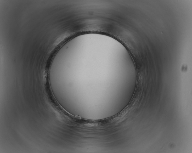X0000094360160200711241945