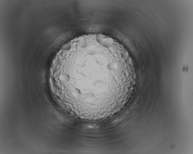 X0000094360161200711241945