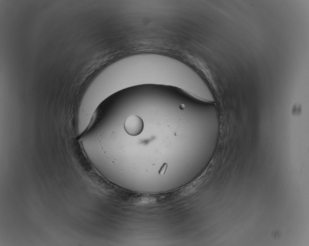 X0000094360162200711241945