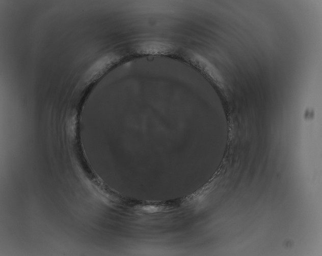 X0000094360163200711241945