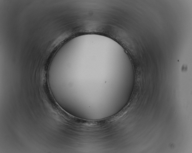 X0000094360164200711241945