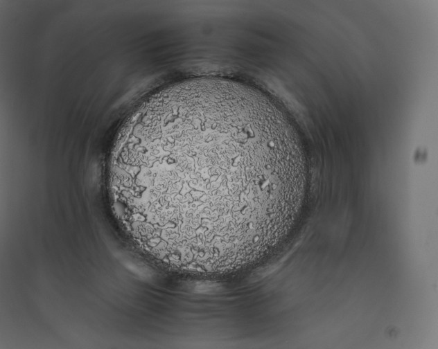 X0000094360165200711241945
