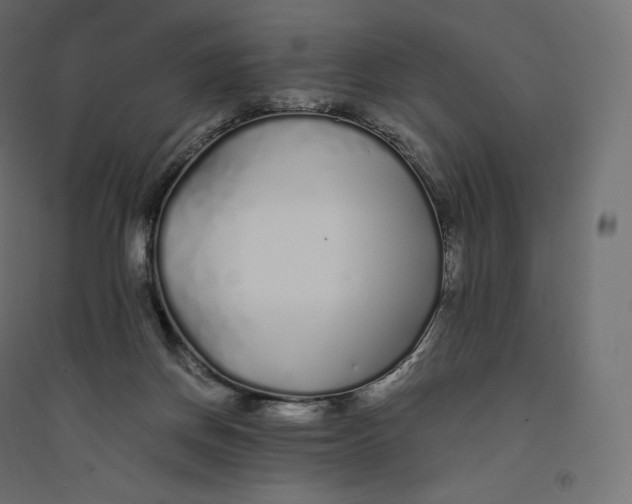 X0000094360166200711241945