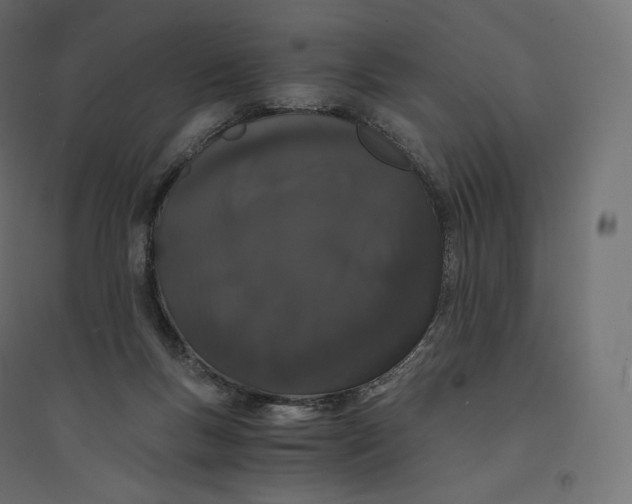 X0000094360167200711241945