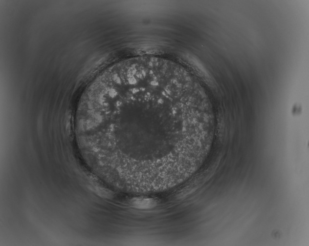 X0000094360169200711241945