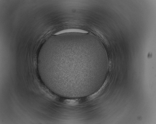 X0000094360170200711241945