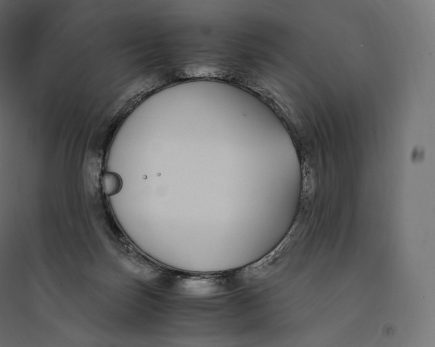 X0000094360171200711241945